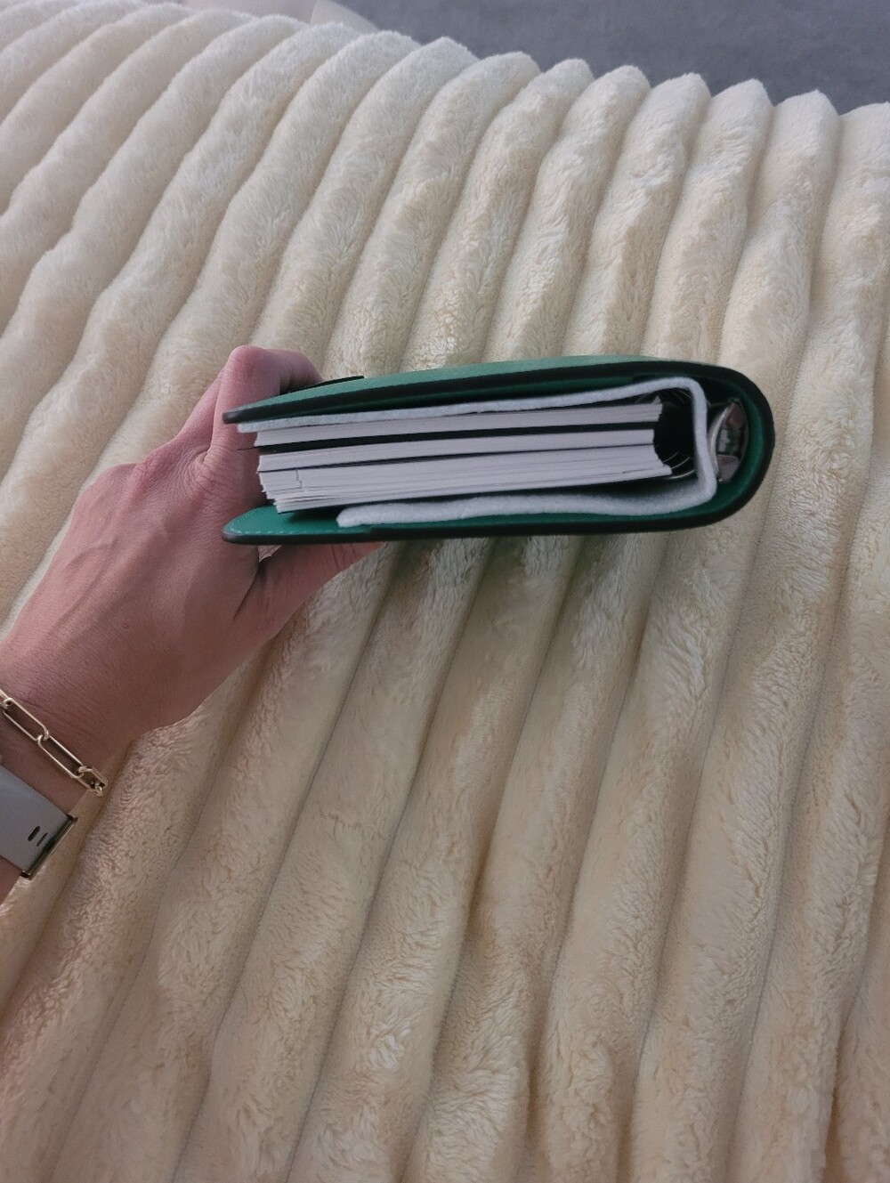 Mulberry Postman's Lock Agenda book Diary Green NEW - Picture 9 of 9